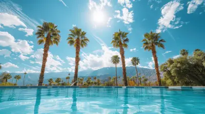 The All-Inclusive Experience at Palm Tree Springs Resort